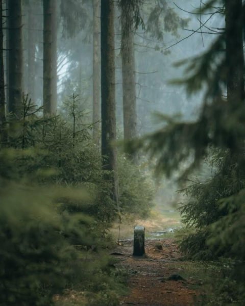 IMG_20251031_090707_852.jpg IMG_20251031_090707_852.jpg