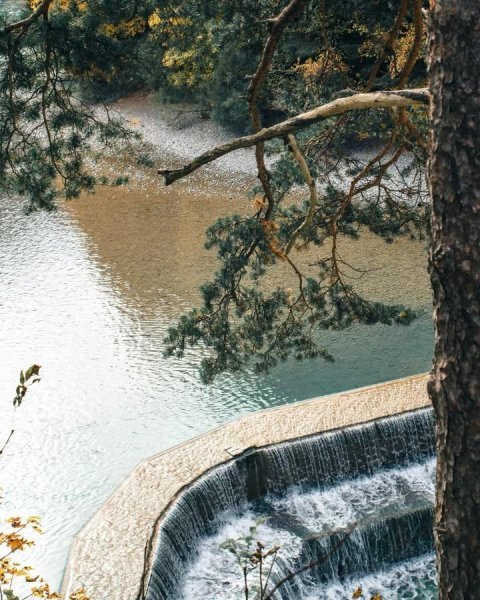 IMG_20251031_090704_573.jpg IMG_20251031_090704_573.jpg