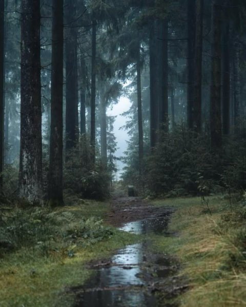 IMG_20251031_090658_203.jpg IMG_20251031_090658_203.jpg