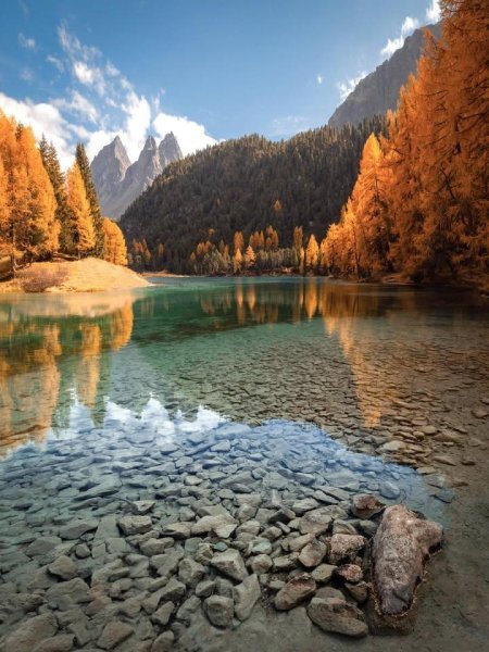 IMG_20251031_090538_855.jpg IMG_20251031_090538_855.jpg