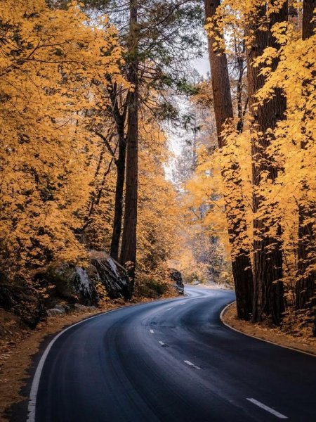 IMG_20251031_090456_724.jpg IMG_20251031_090456_724.jpg