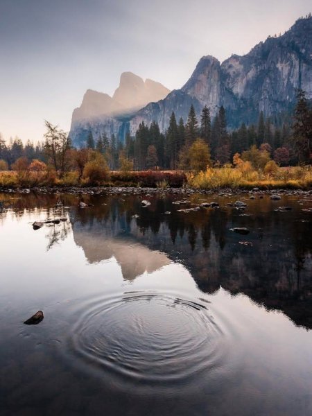 IMG_20251031_090453_183.jpg IMG_20251031_090453_183.jpg