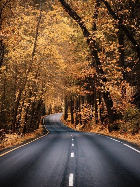 IMG_20251031_090446_687.jpg IMG_20251031_090446_687.jpg