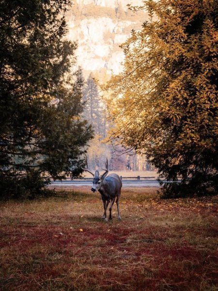 IMG_20251031_090443_501.jpg IMG_20251031_090443_501.jpg