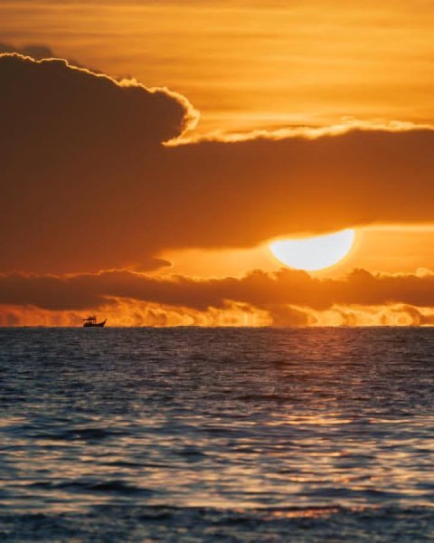 IMG_20251031_125515_622.jpg IMG_20251031_125515_622.jpg