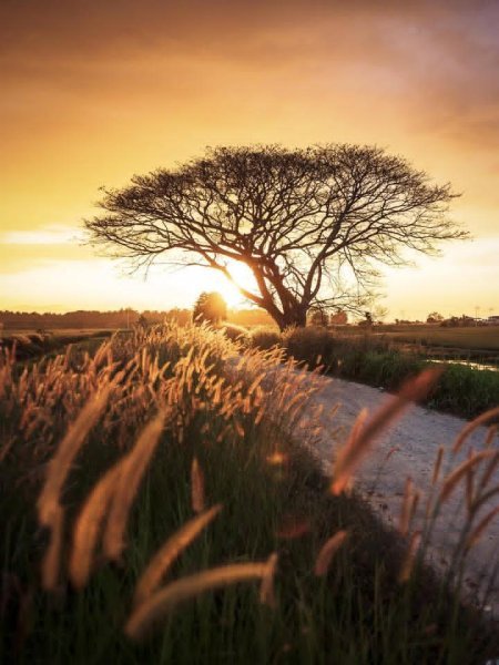 IMG_20251031_125512_157.jpg IMG_20251031_125512_157.jpg