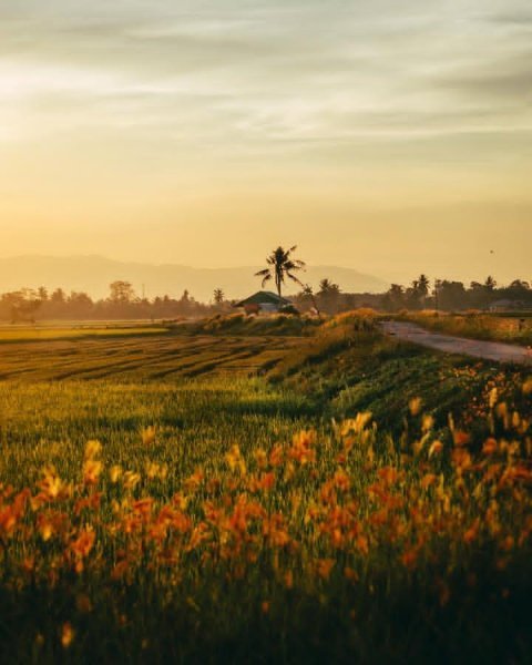 IMG_20251031_125508_317.jpg IMG_20251031_125508_317.jpg