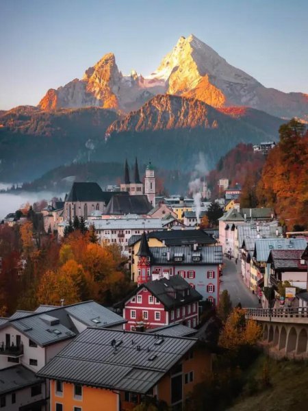 IMG_20251031_122925_870.jpg IMG_20251031_122925_870.jpg