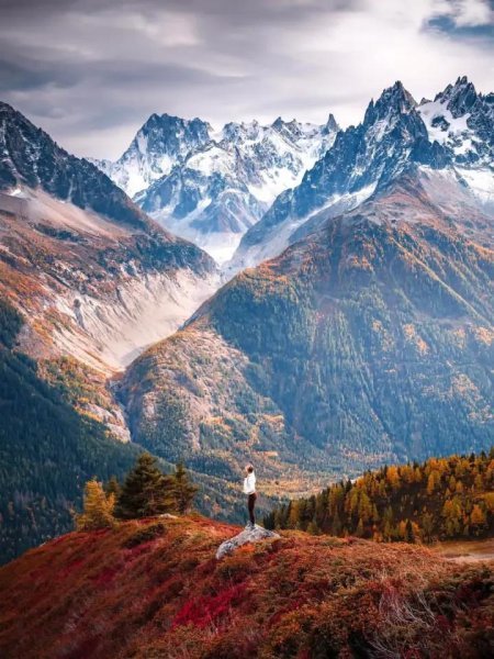 IMG_20251031_122922_392.jpg IMG_20251031_122922_392.jpg