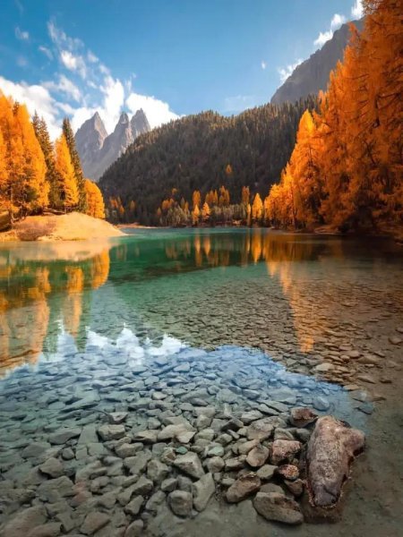 IMG_20251031_122918_370.jpg IMG_20251031_122918_370.jpg