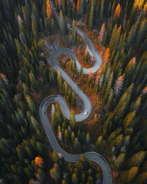 IMG_20251031_134615_672.jpg IMG_20251031_134615_672.jpg