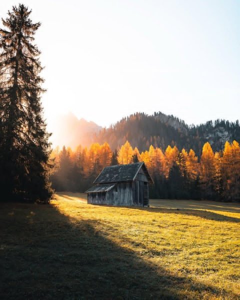 IMG_20251031_134607_880.jpg IMG_20251031_134607_880.jpg