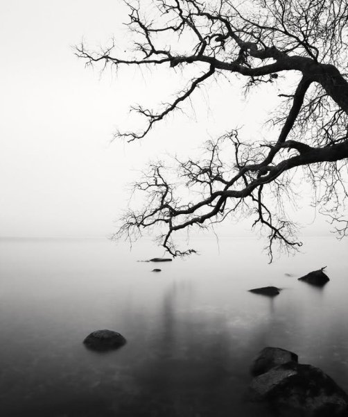 IMG_20251031_135226_156.jpg IMG_20251031_135226_156.jpg