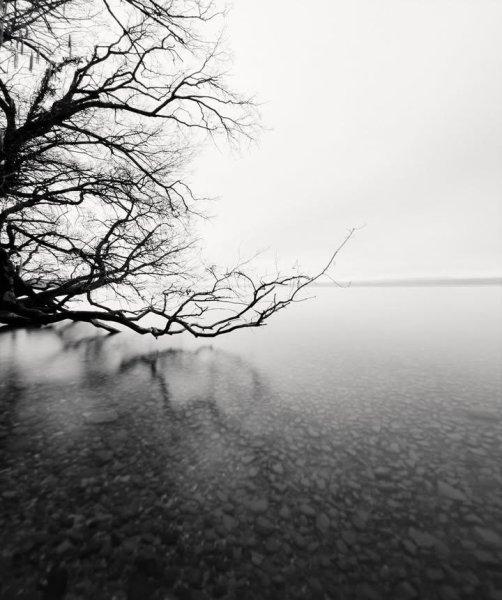 IMG_20251031_135220_817.jpg IMG_20251031_135220_817.jpg