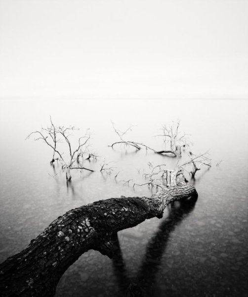 IMG_20251031_135215_657.jpg IMG_20251031_135215_657.jpg