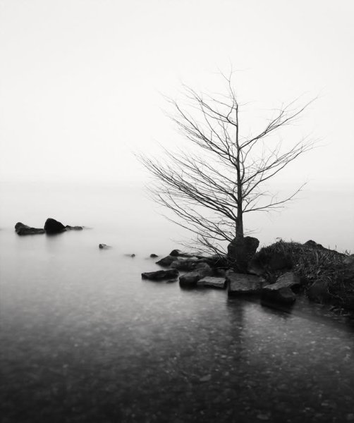 IMG_20251031_135211_665.jpg IMG_20251031_135211_665.jpg