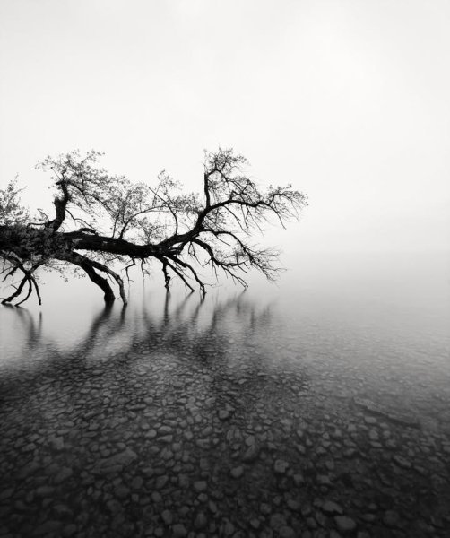 IMG_20251031_135208_353.jpg IMG_20251031_135208_353.jpg