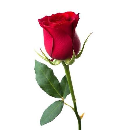 images - 2025-11-04T113056.439.jpeg