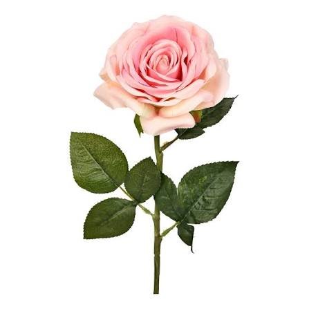 images - 2025-11-04T113013.485.jpeg