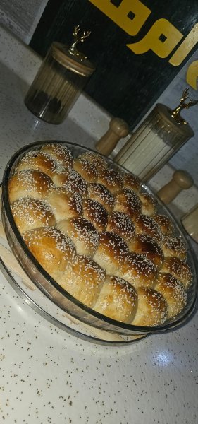 FB_IMG_1762164188506.jpg FB_IMG_1762164188506.jpg