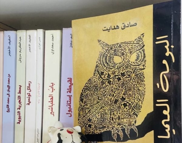 IMG_5348.jpeg IMG_5348.jpeg