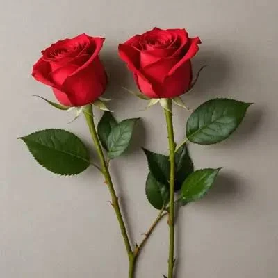 images - 2025-11-15T125658.502.webp