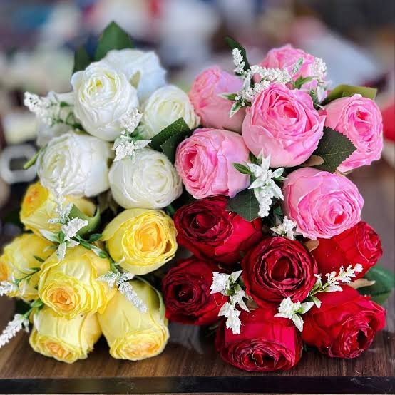 images - 2025-11-23T200920.799.jpeg