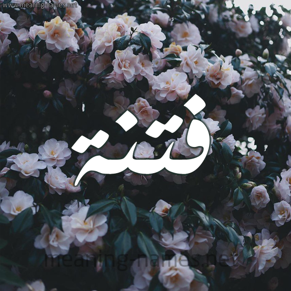 فِتْنة.png