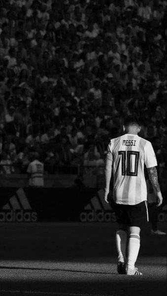 IMG_6236.jpeg IMG_6236.jpeg