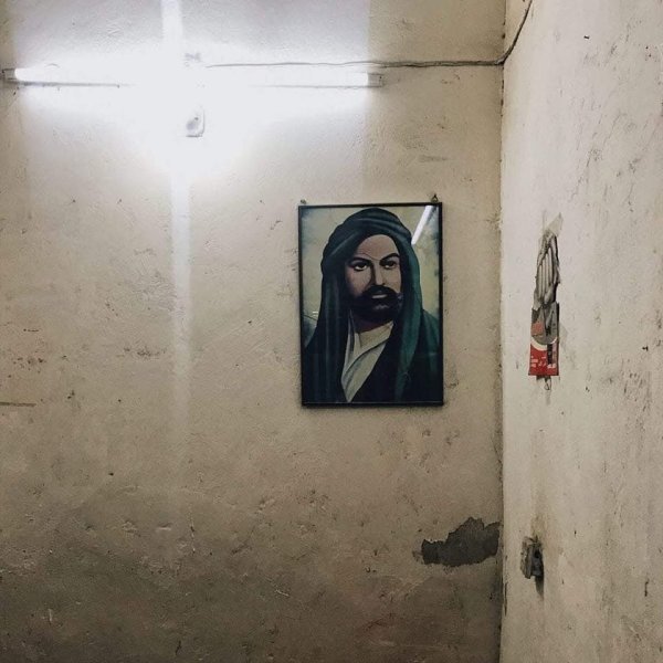 IMG_6731.jpeg IMG_6731.jpeg