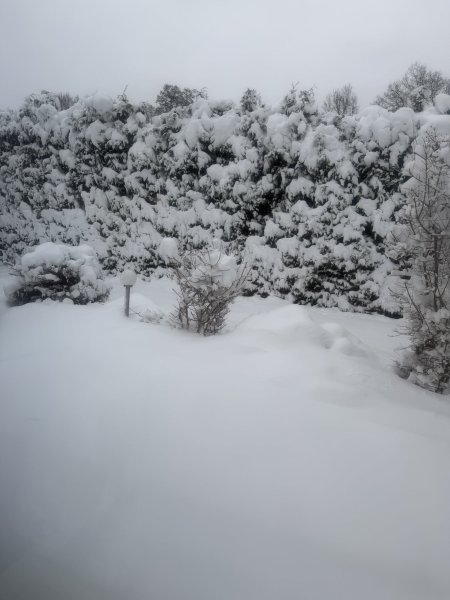 IMG_6813.jpeg IMG_6813.jpeg