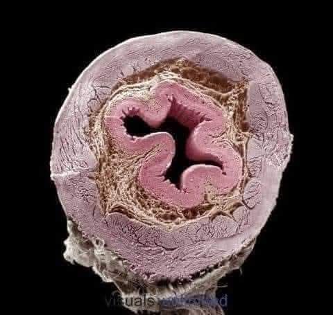 FB_IMG_1767796309461.jpg FB_IMG_1767796309461.jpg