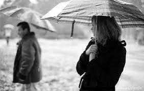 تنزيل (21) (1).jpeg تنزيل (21) (1).jpeg