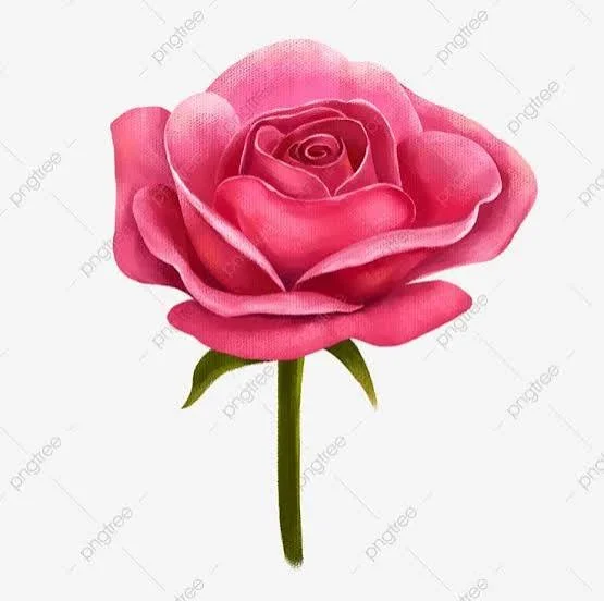 images - 2026-01-11T171454.163.jpeg