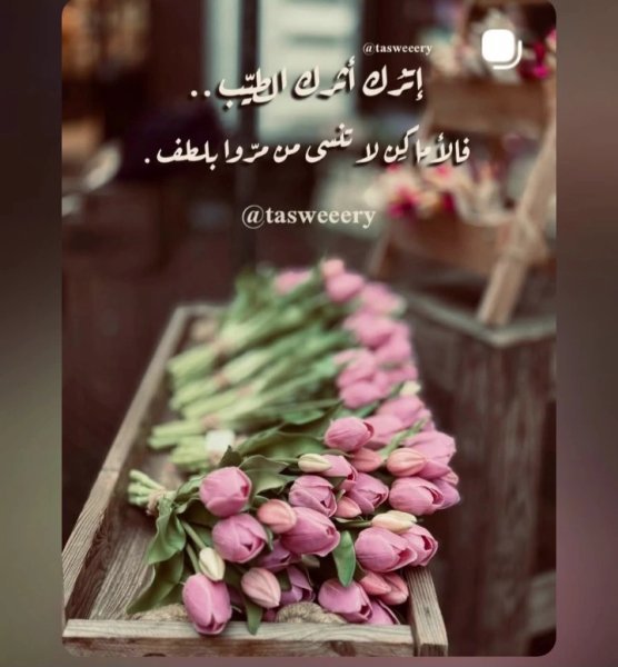 Screenshot_٢٠٢٦٠١٢٠_١١٥٢٤٧_Instagram.jpg