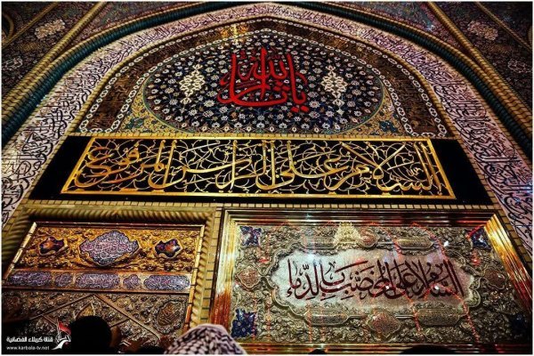 IMG_4651.jpeg IMG_4651.jpeg