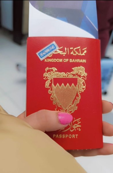 IMG-20260125-WA0003.jpg IMG-20260125-WA0003.jpg