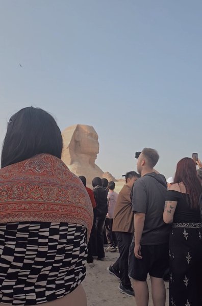 Screenshot_٢٠٢٦٠١٢٥_٠٩١٨٢٣_Gallery.jpg Screenshot_٢٠٢٦٠١٢٥_٠٩١٨٢٣_Gallery.jpg