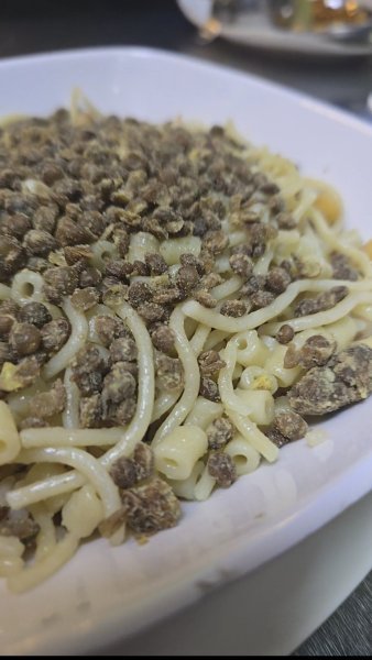 Screenshot_٢٠٢٦٠١٢٥_٠٩٤١١٦_Gallery.jpg Screenshot_٢٠٢٦٠١٢٥_٠٩٤١١٦_Gallery.jpg