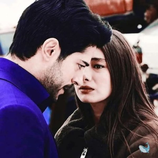 FB_IMG_1769462175888.jpg FB_IMG_1769462175888.jpg