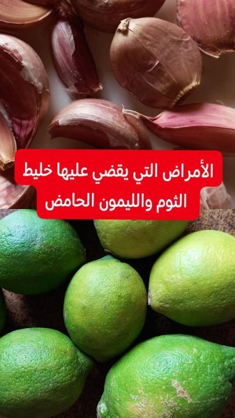 FB_IMG_1771107982089.jpg FB_IMG_1771107982089.jpg