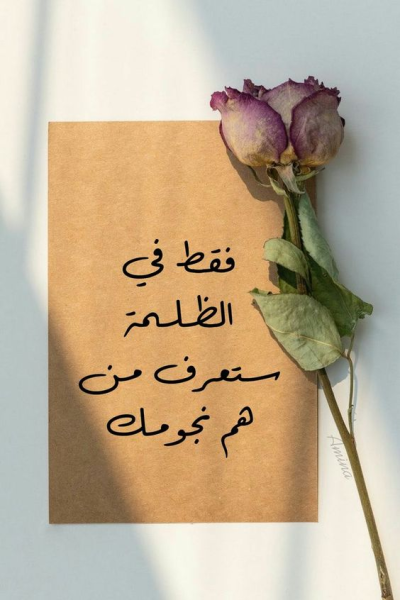 1771315973308.png 1771315973308.png