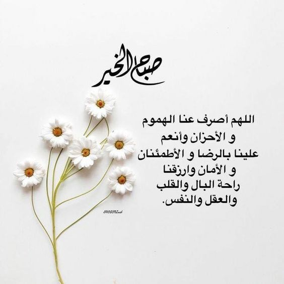 1771316065114.png 1771316065114.png