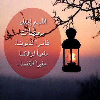 1771461354927.png 1771461354927.png