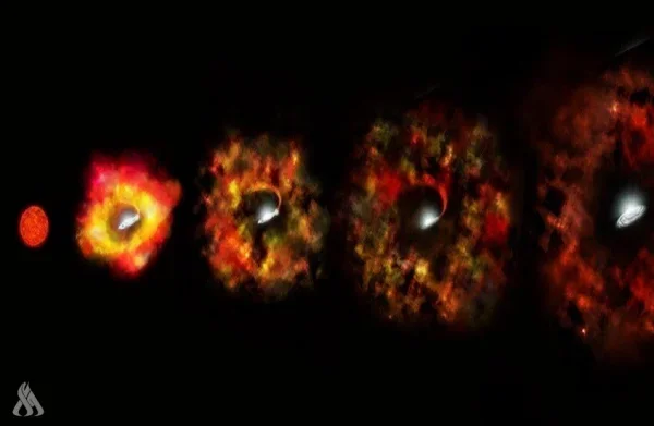 1771566858149.webp 1771566858149.webp