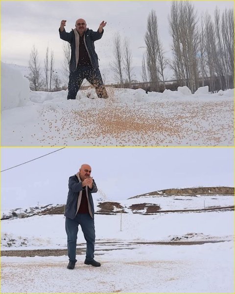 1000009428.jpg 1000009428.jpg