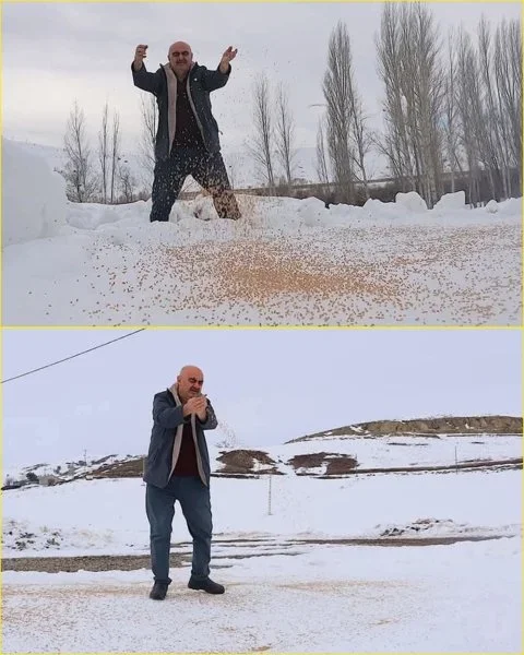 1000009428.webp 1000009428.webp