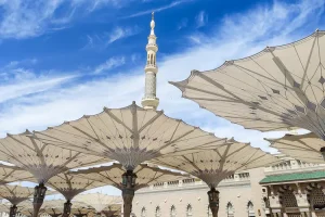 1771836883793.png 1771836883793.png