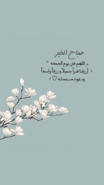 IMG_7299.jpeg IMG_7299.jpeg