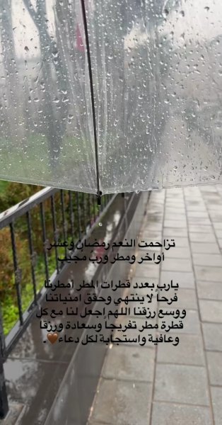 Screenshot_٢٠٢٦٠٣١٥_١٤٥١٢٢_Instagram.jpg